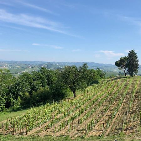 Cascina San Michele Bed and Breakfast Costigliole d'Asti Εξωτερικό φωτογραφία