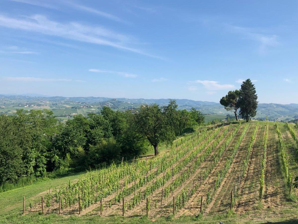 Cascina San Michele Bed and Breakfast Costigliole d'Asti Εξωτερικό φωτογραφία