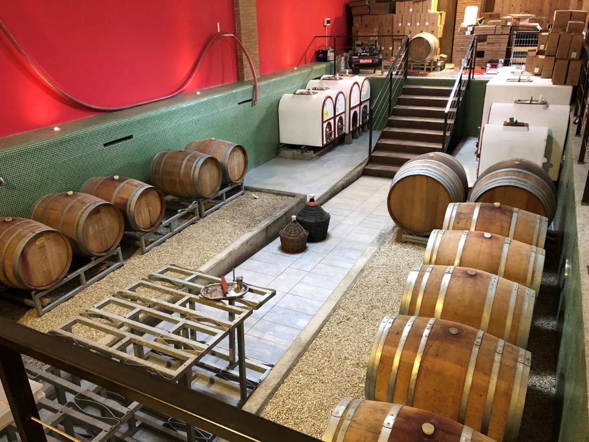 Cascina San Michele Bed and Breakfast Costigliole d'Asti Εξωτερικό φωτογραφία