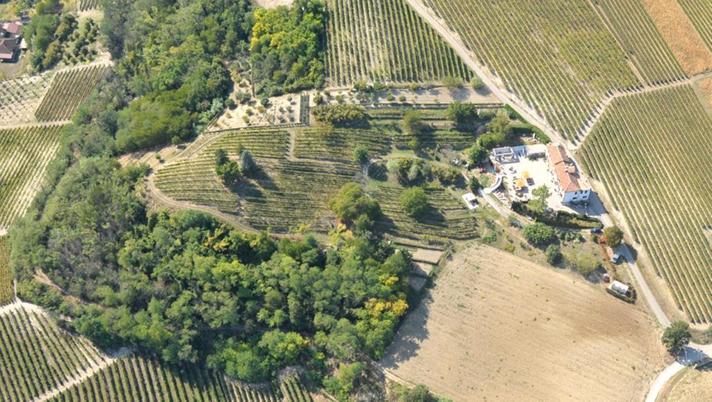 Cascina San Michele Bed and Breakfast Costigliole d'Asti Εξωτερικό φωτογραφία